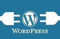 The Advantages to a WordPress Website