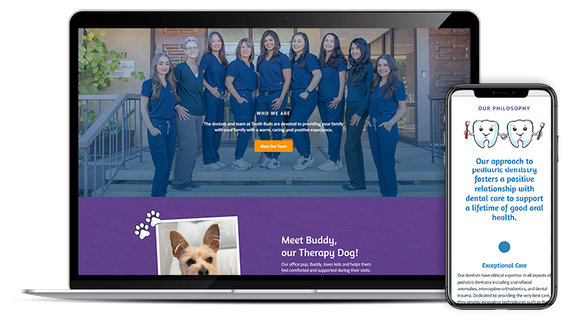 Lamorinda Website on Responsive Screens