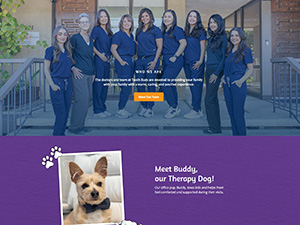 Lamorinda Website screenshot